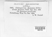 Image Associated With the Occurence